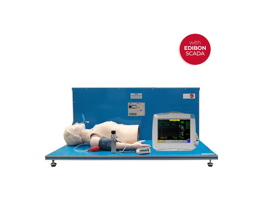 PATIENT BIOSIGNALS SIMULATION UNIT